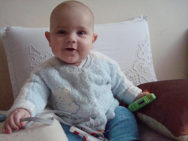 Család és virágok - Imádott kis unokám, Dániel, ma 7 hónapos