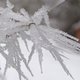 Téli képek - zúzmara kristályok