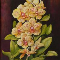 Orchideák sorozat