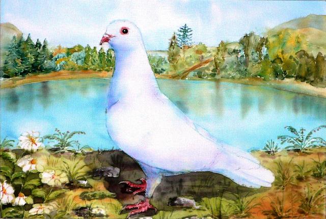 Festményeim, állatképek - Fehér galamb