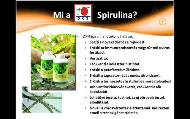 prémium táplálékkiegészítő -k - Mi a DXN Spirulina?