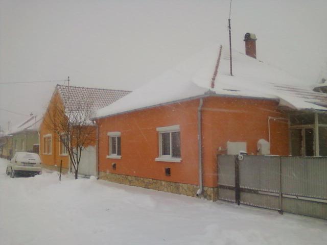 id Radnai  János    képei - A   házunk