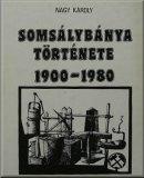 Somsálybánya története, 1900-1980