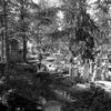 Áprily Lajos - Tavasz a házsongárdi temetőben